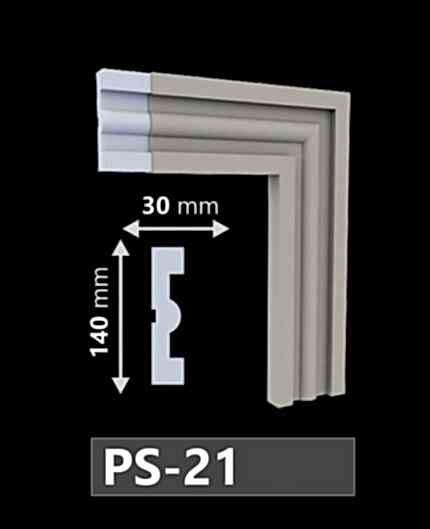 Model PS-21
